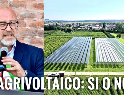 CEREA. IL SINDACO FRANZONI RISPONDE ALLA MOZIONE DEI CONSIGLIERI DI MINORANZA SULL’INSEDIAMENTO DI PARCHI AGRIVOLTAICI.