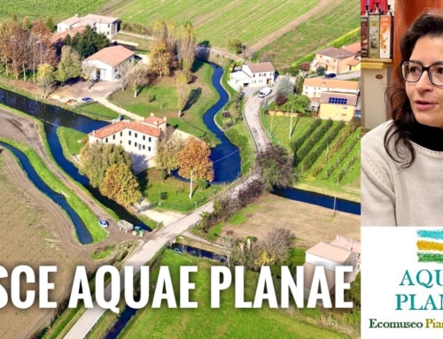 TERRITORI. ECCO AQUAE PLANAE, UN PROGETTO DI ECOMUSEO PER LA PIANURA VERONESE FORMATO DA UNDICI COMUNI E COORDINATO DA HUMANITAS ACT.
