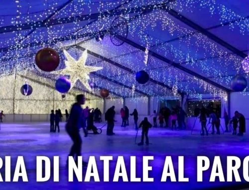 CEREA. [VIDEO] TANTE LE NOVITÀ DEL NATALE 2023: LE STELLE COMETE NEI NEGOZI, LA PISTA DI PATTINAGGIO, I MERCATINI, I PRESEPI E CREATIVANDO.