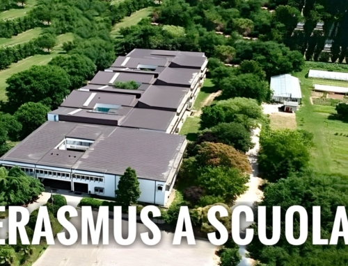 ISOLA DELLA SCALA. L’ISTITUTO “STEFANI BENTEGODI” CELEBRA L’ERASMUS+ TRA TRADIZIONI, ARTE E AMBIENTE.