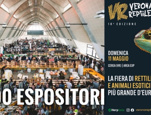 CEREA. ALL’AREA EXP DOMENICA 11 MAGGIO TORNA VERONA REPTILES: LA PIÙ GRANDE FIERA DI ANIMALI ESOTICI D’EUROPA.