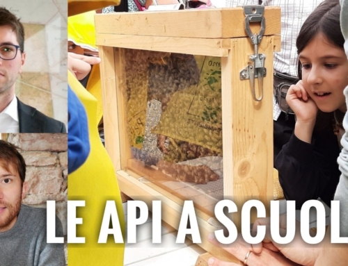 CASTAGNARO. COLDIRETTI PORTA L’AGRICOLTURA IN CLASSE: API E CIBO SANO ALLA SCUOLA PRIMARIA BATTISTI.