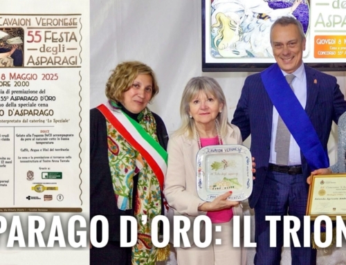 CAVAION VERONESE CELEBRA “L’ASPARAGO D’ORO”. PREMIATI I MIGLIORI PRODUTTORI: AMBROSI DI CASALEONE E FATTORIA BEPPINA DI  ISOLA RIZZA.