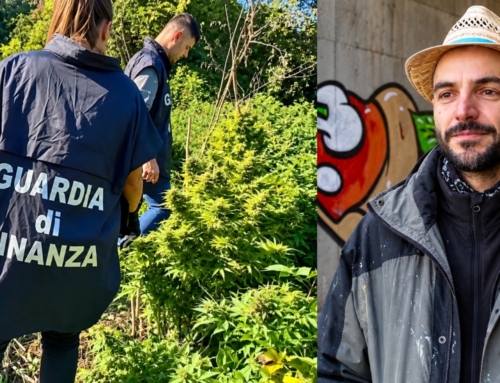 CIBO, DALLE SVASTICHE CANCELLATE ALLA CANNABIS: ARRESTO CONVALIDATO, IL WRITER RESTA LIBERO